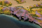 diorama6