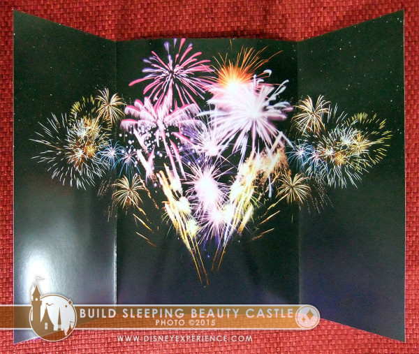 Disneyland Fireworks Background Panel