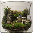 Star Wars Terrarium