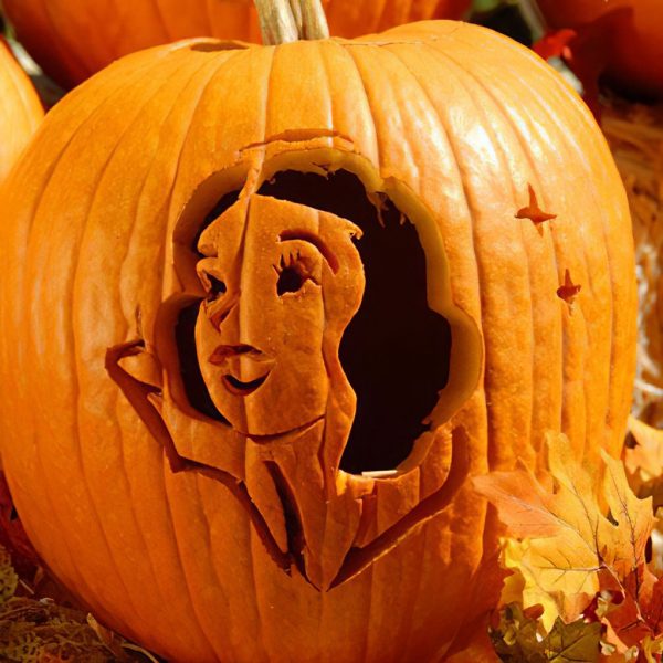 Snow White Pumpkin Pattern