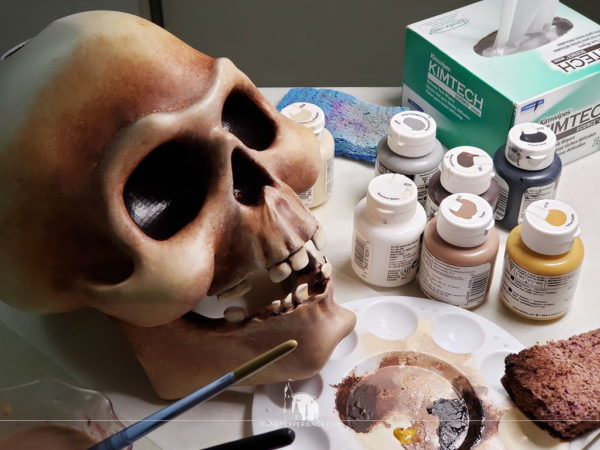 "pirates of the Caribbean" Talking Skull Painted